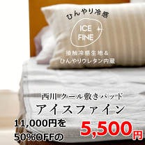 楽天市場】アイス ジェル パッド 京都 西川の通販