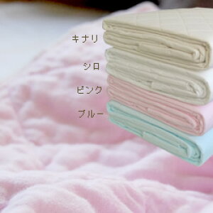 pV[} _uTCY Pasima EȓK[[LgV[c |~p YK[[ƒEȂłłRQ ԂS̃GRebNXKi100 Ags[ AM[̐lɂ Ng