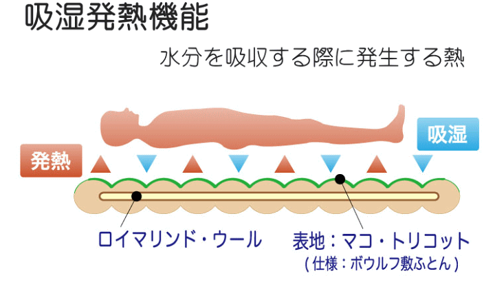 楽天市場】ビラベック ボゥルフ敷ふとん 最高級 天然素材 羊毛