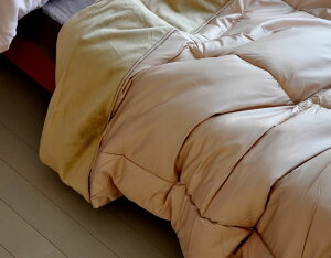 }CNt@Co[@|ӂƂ@VOTCY