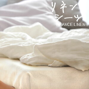 tXl Jo[ 43×63cm / tbgV[c / 100% l100% s[P[X VR̂Ђ芴 43×63cm Y OK Jo[ ɂ  ͓VR@ۂ̒ōł@