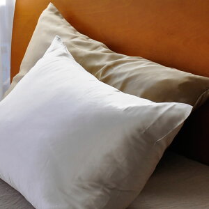 VNs[P[X Jo[ VN100 Te sP[X 43×63cmp QȂXLPA.Eʂ҂鐬utBuCvA~m_oXǂ܂܂Ă܂ z