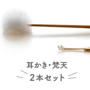 ̂̂ u\tg / EV2{Zbg / ʗp TYPE-2