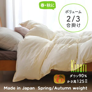 |@Hэ| Ȃ荇|HтӂƂ Hѕzc NC[TCY | _E90% ѕzAK[[Pbg̑gݍ킹ŔNOKI