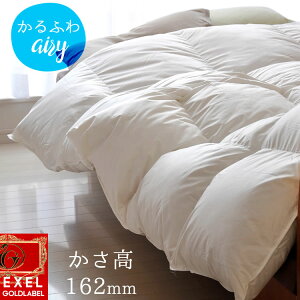 Hѕzc GA[RtH[gGNZ CMXY_E90 ȂHѕzc GNZS[h VOTCY p[AbvH  yʐngp2NXAbv Y { 