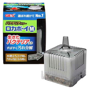 WFbNX GEX J{[C oNeAp[ { ΂₭ꕪ ubNX[N M