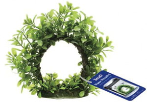 eg (Tetra) EH[^[[X S lH ANZT[ Mы  _J