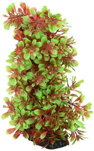 eg (Tetra) tLVuvg FP-6 lH ANZT[ 