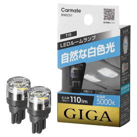 カーメイト 車用 LED ルームランプ GIGA T10 5000K 110lm 自然な白色光 2個入り BW251