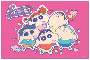 XP[^[(Skater) qp W[ V[g lp STCY  60×90cm N񂿂 25 VS1-A