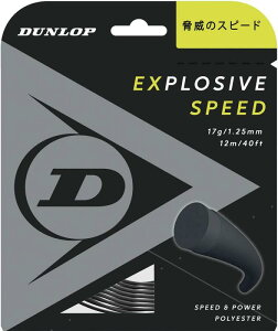�_�����b�v(DUNLOP) �e�j�X �d���e�j�X �G�N�X�v���b�V�u�E�X�s�[�h �P�� 12m �u���b�N 1.25mm DST11021