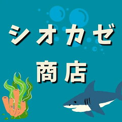 シオカゼ商店