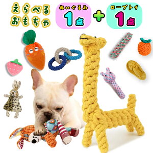 uIׂ邨1{1_Zbgv   J VJVJ ʂ S     v[g  ʂ  pߋ ybg  