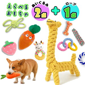??  ʂ݁Iׂ邨2{1_Zbg  ?ނ  J VJVJ  ʂ S     v[g  p