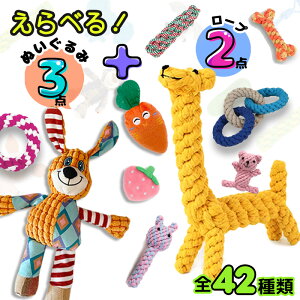 ??yIׂ 5_Zbgz   ʂ    Zbg  ?ނ [v ybg [vgC ?   f^PA  v[g p 