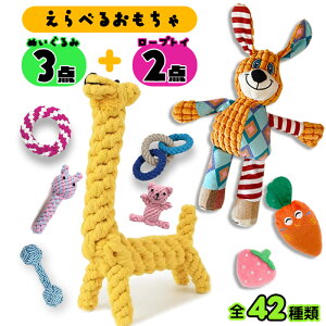 yyV1ʁIz  ʂ  Iׂ5_Zbg  S   f^PA  v[g  [v ʂ   pߋ Rbgfށ@ y