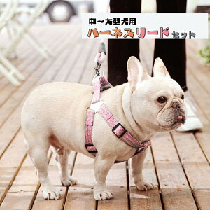 yz n[lX ^ `FbN [h Zbg  킢 ^ p   U { ɂ ȒP [h  킢  nhCh 