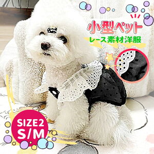  yz  p ybgpi 킢 ̎q hbOEFA ybgp ĕ L ^ ^ ybgEFA g v[g jbg Z[^[   킢 m 