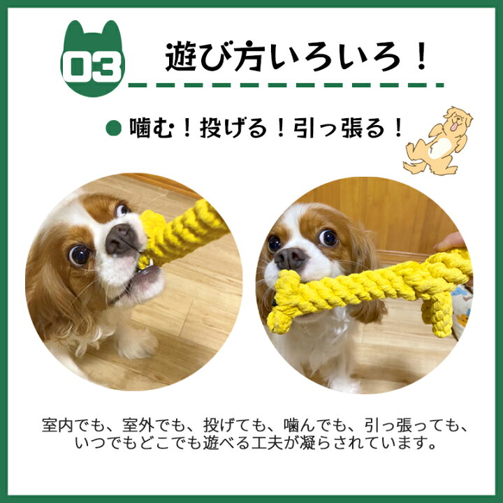楽天市場 選べる3点セット 犬 おもちゃ 安全 噛む 力 強い ロープ 犬おもちゃ 犬用玩具 コットン ペット 犬 送料無料 犬用おもちゃ ロープトイ オモチャ ストレス解消 丈夫 耐久性 小型犬 歯磨き Miopet ペット用品専門店 楽天市場 選べる3点セット 犬 おもちゃ 安全 噛む 力 強い ロープ 犬おもちゃ 犬用玩具 コットン ペット 犬 送料無料 犬用おもちゃ ロープトイ オモチャ ストレス解消 丈夫 耐久性 小型犬 歯磨き Miopet ペット用品専門店