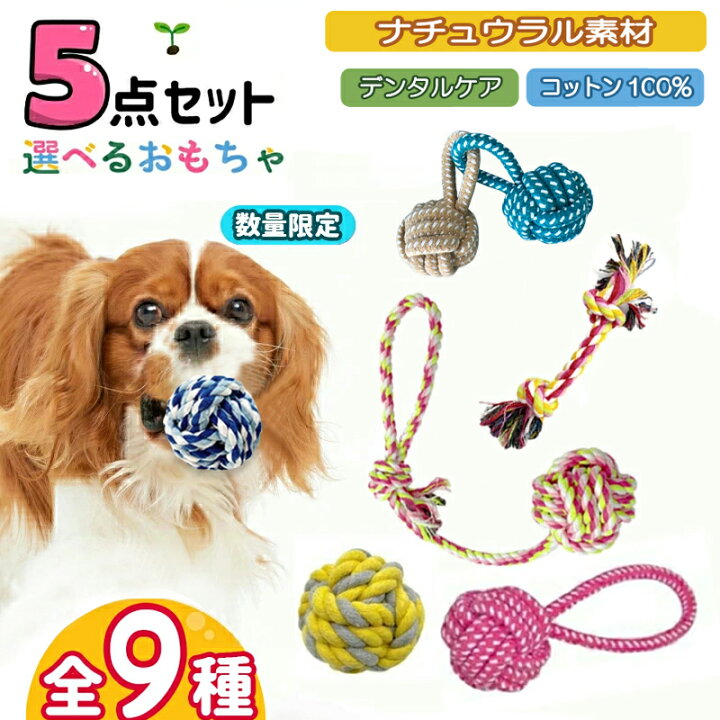 楽天市場】【楽天5位！】☆選べる5点セット☆ 犬 おもちゃ 安全 噛む 
