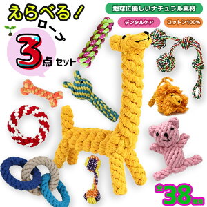 ? A1ʁ yIׂz  [v 3_Zbg  ?ނ  [v Zbg [vgC ybgpi S    f^PA v[g pߋ Rbgf