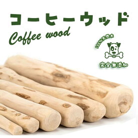 犬 おもちゃ 木 噛む 犬 天然木 コーヒーウッド 無添加 安全 安心 健康 コーヒーの木 犬 嚙むおもちゃ デンタルケア 口臭ケア ロープトン 犬おもちゃ 犬用品 ペット 用品 おもちゃ 犬用玩具 犬用 おもちゃ 遊び ストレス解消 プレゼント 小型犬中型犬 暇つぶし★送料無料★