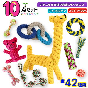 yIׂz10_Zbg   [v   ̂ ybg  Zbg [vgC    f^PA v[g  pߋ Rbgf