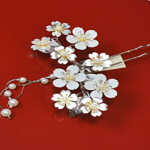 ׍H   񂴂  Ԃ U  ap  e@ K⒅ {  ig  s  w Ǝ  a  񂴂 a  ap  K⒅ t