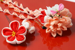   2_Zbg sN  匴X ܂ݍ׍H q ǂ ̎q wAs ܎O  X[s pb`s wAANZT[ ݂  a 3 7 a LbY K[