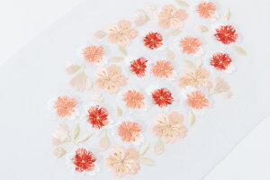 ܎O   hJ n   hイ   100%   a 3 7 ̎q   ÓT  ̎q ܎O  a a LbY K[Y qp  ЂȍՂ 