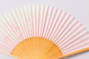 q p  Vv a v[g Mtg fB[X   蕨 aG    t[   N  hV̓  c `