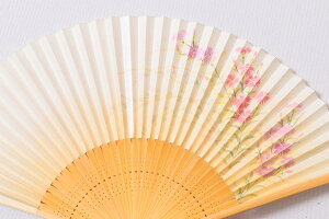 q p  Vv a v[g Mtg fB[X   蕨 aG    t[   N  hV̓  c `