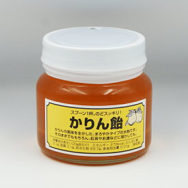 スプーン1杯。のどスッキリ かりん飴（信州長野のお土産 特産品 お取り寄せ ご当地 グルメ ギフト カリン飴 花梨飴 果林飴 マルメロ飴）