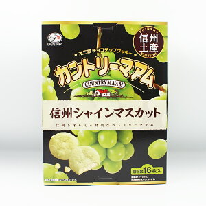 Jg[}AMBVC}XJbgiMB̂yY َq mَq MByY sƃ`R`bvNbL[j