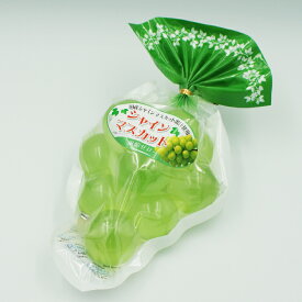 （送料込）シャインマスカット風船ゼリー11個入×5個 国産シャインマスカット果汁使用（信州長野のお土産 お菓子 洋菓子）