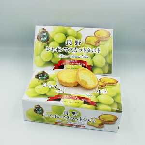 y󂠂蒴 ̂yY ܖ1231zMB蒷VC}XJbg^g 쌧YVC}XJbgʏ`gpiMB̂yY َq  mَq P[Lj