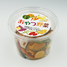 （送料込）おやつ野菜120g（3個／6個／10個）（お土産 お菓子 野菜チップス・果物チップス）