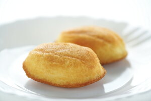 ߖݑ{ irG[ 21 Vܘaَq|{imَq