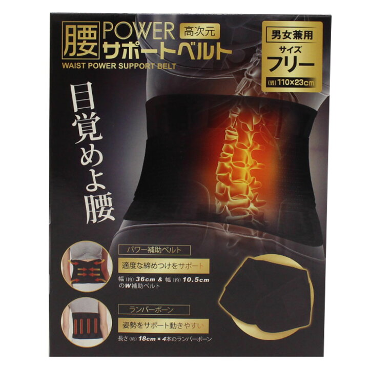 新品 バイオパワースタイルバンド 定価154000円 一点限り スタイルの 