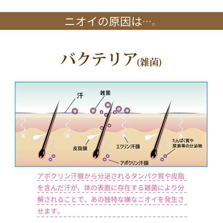 楽天市場 送料無料 ワキガ対策 加齢臭対策 薬用 デオドラントクリーム 脇汗 におい 対策 臭いケア 匂い 体臭 汗の臭い 皮膚汗臭 ワキガクリーム わきが 子供 わきが治療 脇の臭い 脇 臭い 無添加 医薬部外品 デオドラント Omni Online Store