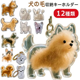 ＼即納！可愛い新作★2枚同梱クーポンで1枚680円！／ ペット 遺毛 ケース 透明 ペット 遺毛入れ 犬の毛収納ボトル 12タイプ ペット 犬のキーホルダー 抜け毛収納 犬の毛 キーホルダー 携帯 持ち歩き 毛を保管するボトル 犬の毛キーホルダー かわいい ペットひげ 携帯便利