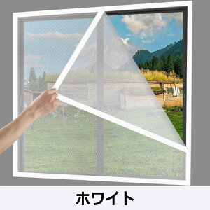 fMV[g h   ~g[UP I[_[ł hV[g p Ih~ KX Ȉ h Ch fMhV[g h CՒf 3w\ Ռ fM É Ch U