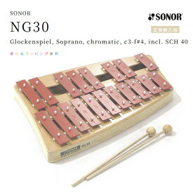 ゾノア社　鉄琴　二段メタルフォン　NG30【選べるラッピング無料】楽器 グロッケン【送料無料】