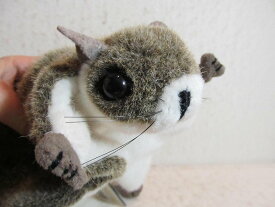 楽天市場 モモンガ ぬいぐるみの通販