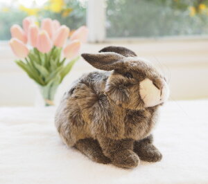 うさぎぬいぐるみ その他のベビーおもちゃの人気商品 通販 価格比較 価格 Com