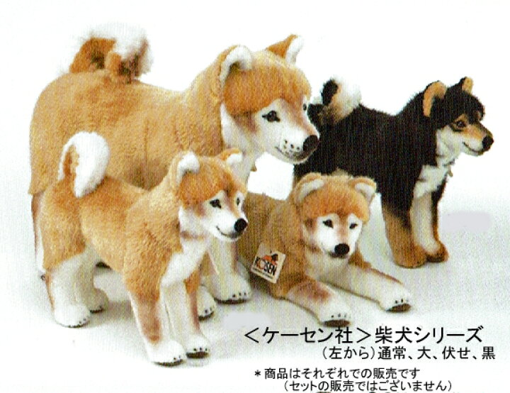 楽天市場】【正規輸入品】ケーセン社 柴犬の子 座り Shiba-Inu Welpe 