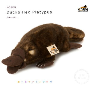 ʂ݁yyΉzP[ZÊ͂iDuckbilled Platypusjyz
