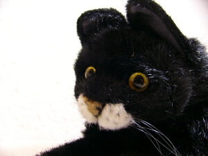 yzP[ZЁEʂ݁E˂ׂLEL