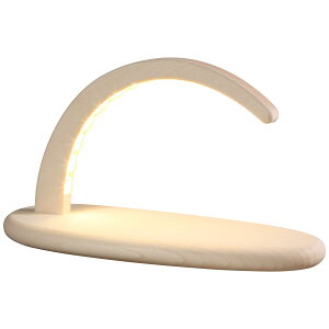 LED�d�l�̃V�����B�u�{�[�Q���@USB�ڑ�