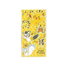 ショウワノート ポケットモンスター 札用ポチ袋 547396 pokemon ポケモン ショウワノート